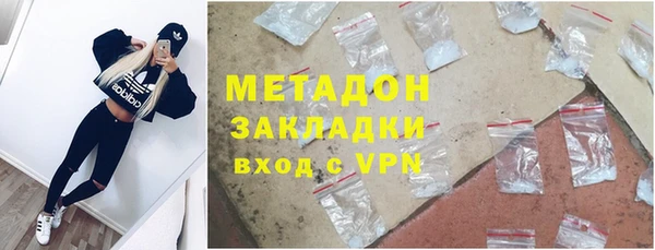 сатива Новозыбков
