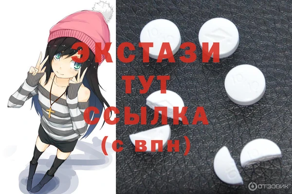 сатива Новозыбков
