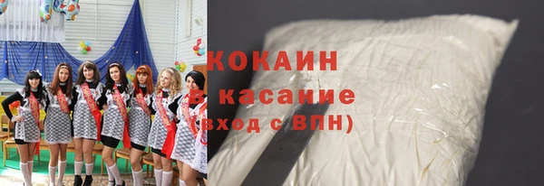 сатива Новозыбков