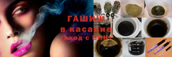 сатива Новозыбков