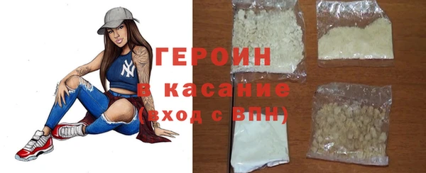 сатива Новозыбков