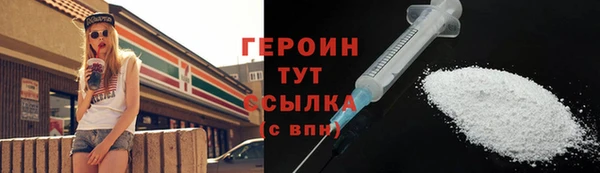 сатива Новозыбков