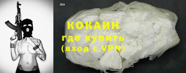 сатива Новозыбков