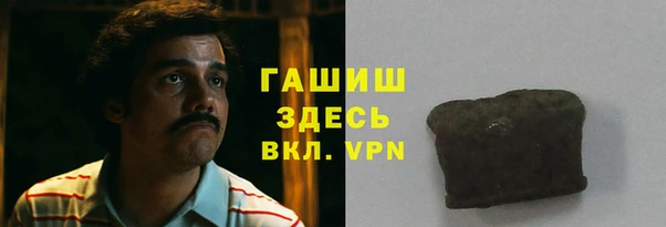 сатива Новозыбков