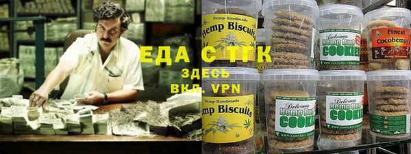 сатива Новозыбков