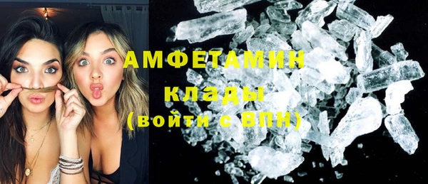 сатива Новозыбков