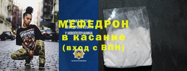 сатива Новозыбков