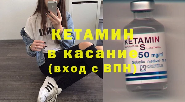 сатива Новозыбков