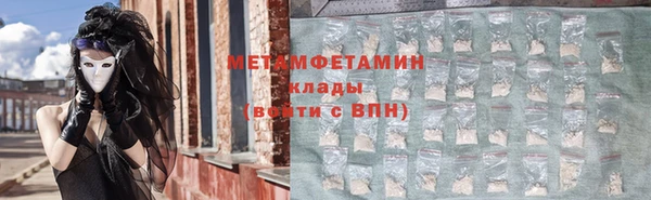 сатива Новозыбков
