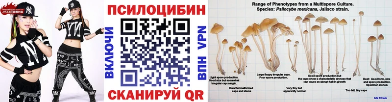 Купить  Игра  Галлюциногенные грибы Cubensis 